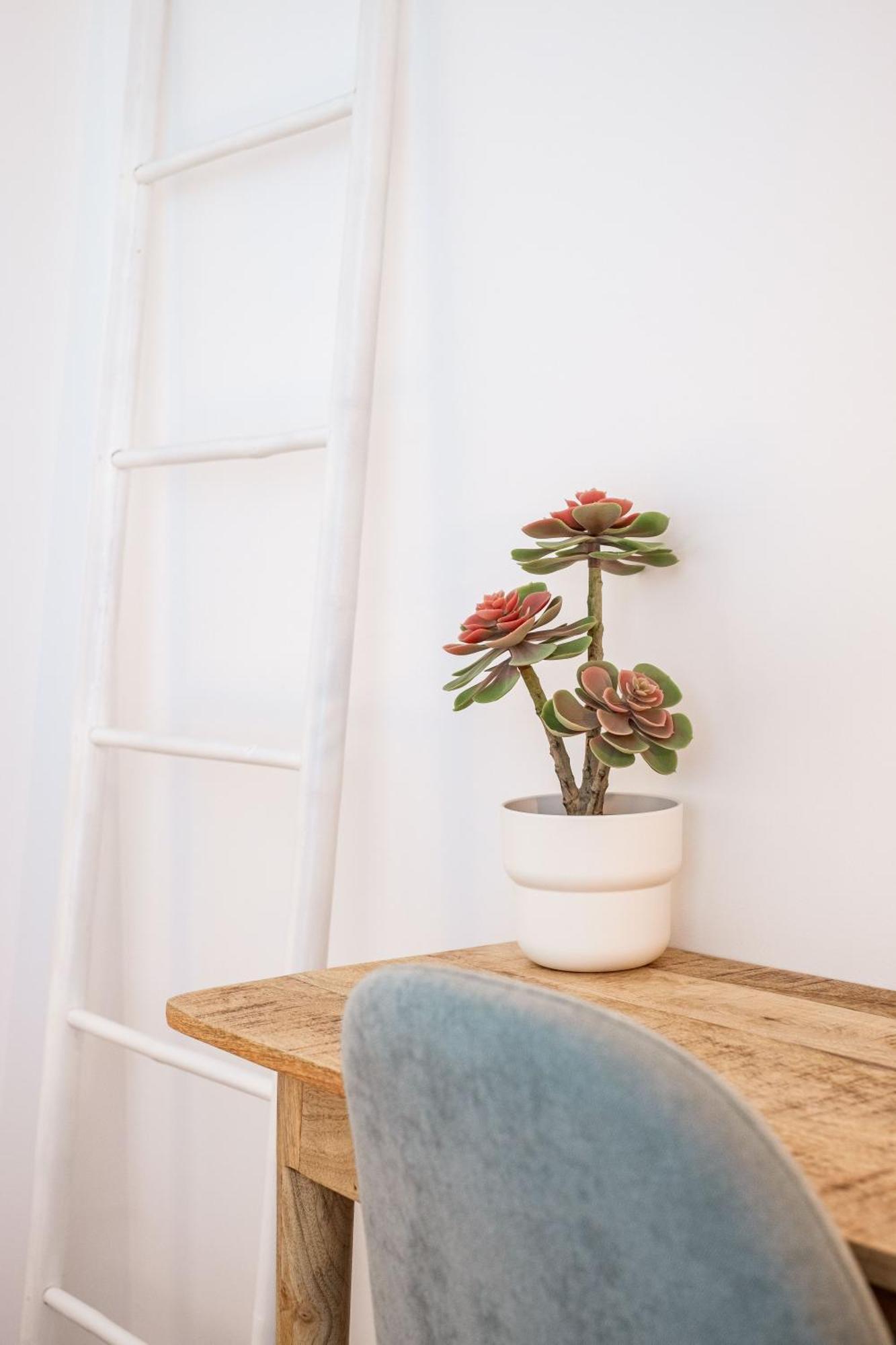 サグレスCasa Vicaアパートメント 部屋 写真